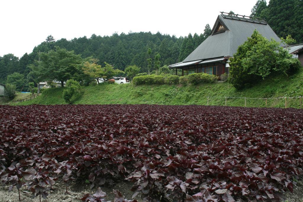 Hotel Yumoto Onsen Oharasansou Kjóto Exteriér fotografie