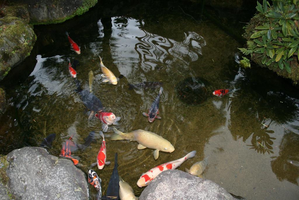 Hotel Yumoto Onsen Oharasansou Kjóto Exteriér fotografie